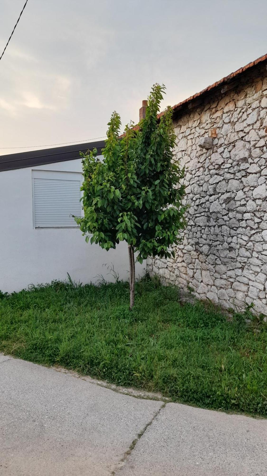 דירות Čapljina Kamena Kuca Family Rodin מראה חיצוני תמונה